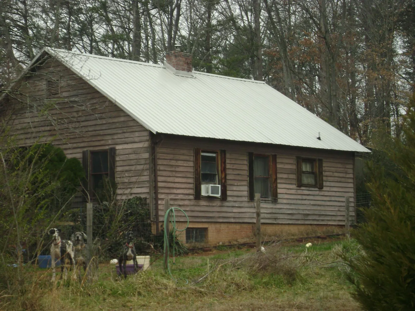White metal roof on an old wood sided farmhouse, from a Asphalt Shingle Roof Repair job in Cicero